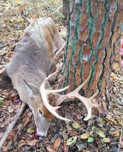 Deer killed with Blue Ridge Outfitters